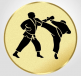 Kampfsport